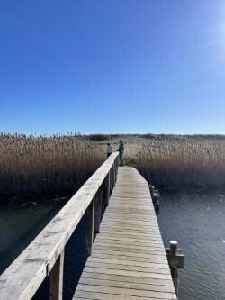 0 Beach Chilmark Ma Chilmark, MA 02535 - Photo 11 of 21 a view of balcony with furniture