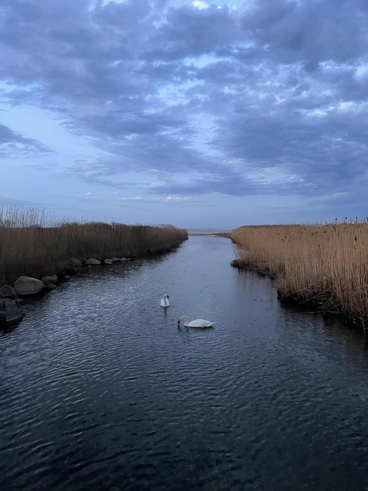 0 Beach Chilmark Ma Chilmark, MA 02535 - Photo 20 of 21