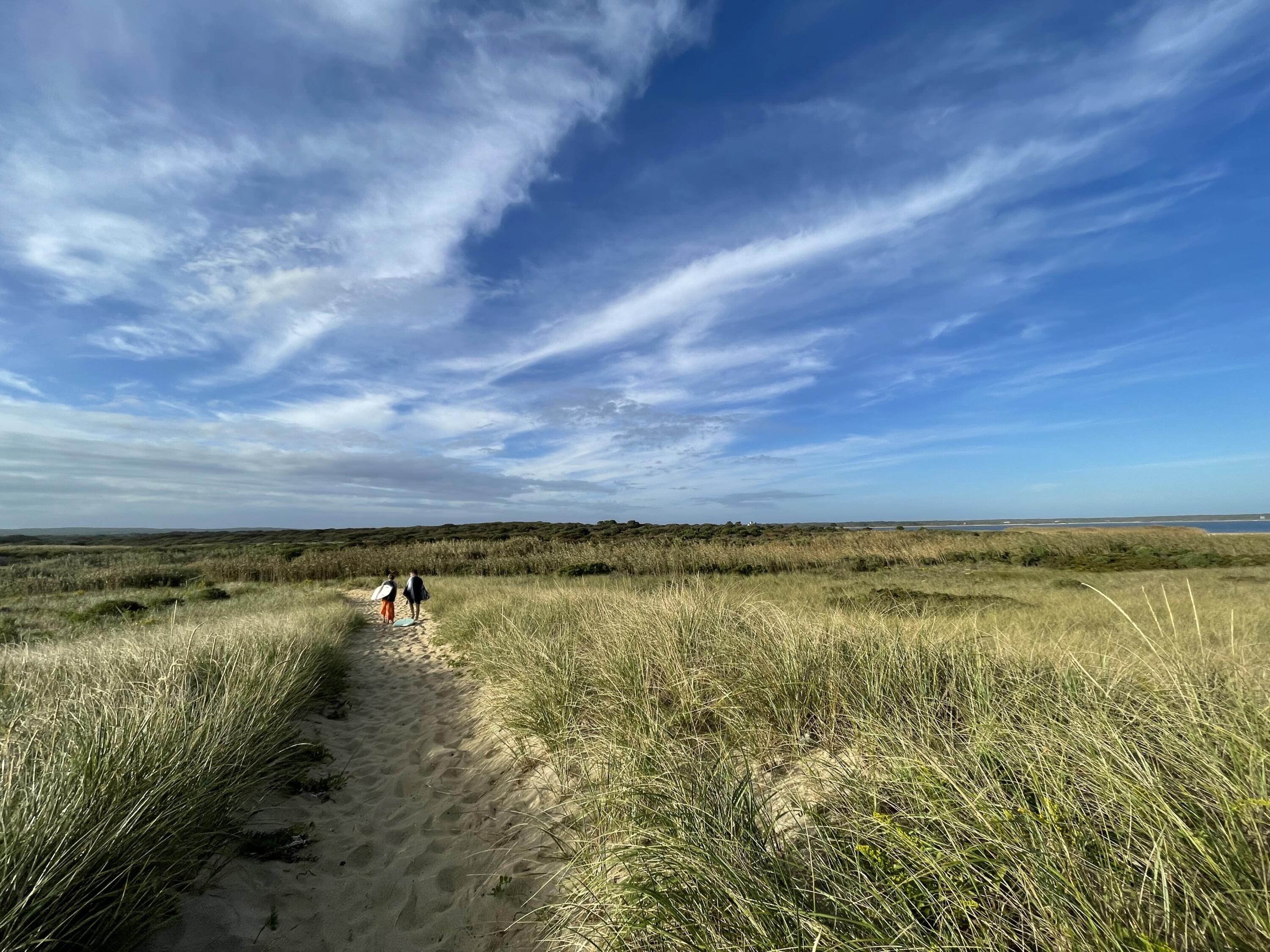 0 Beach Chilmark Ma Chilmark, MA 02535 - Photo 5 of 21 a view of an ocean and beach