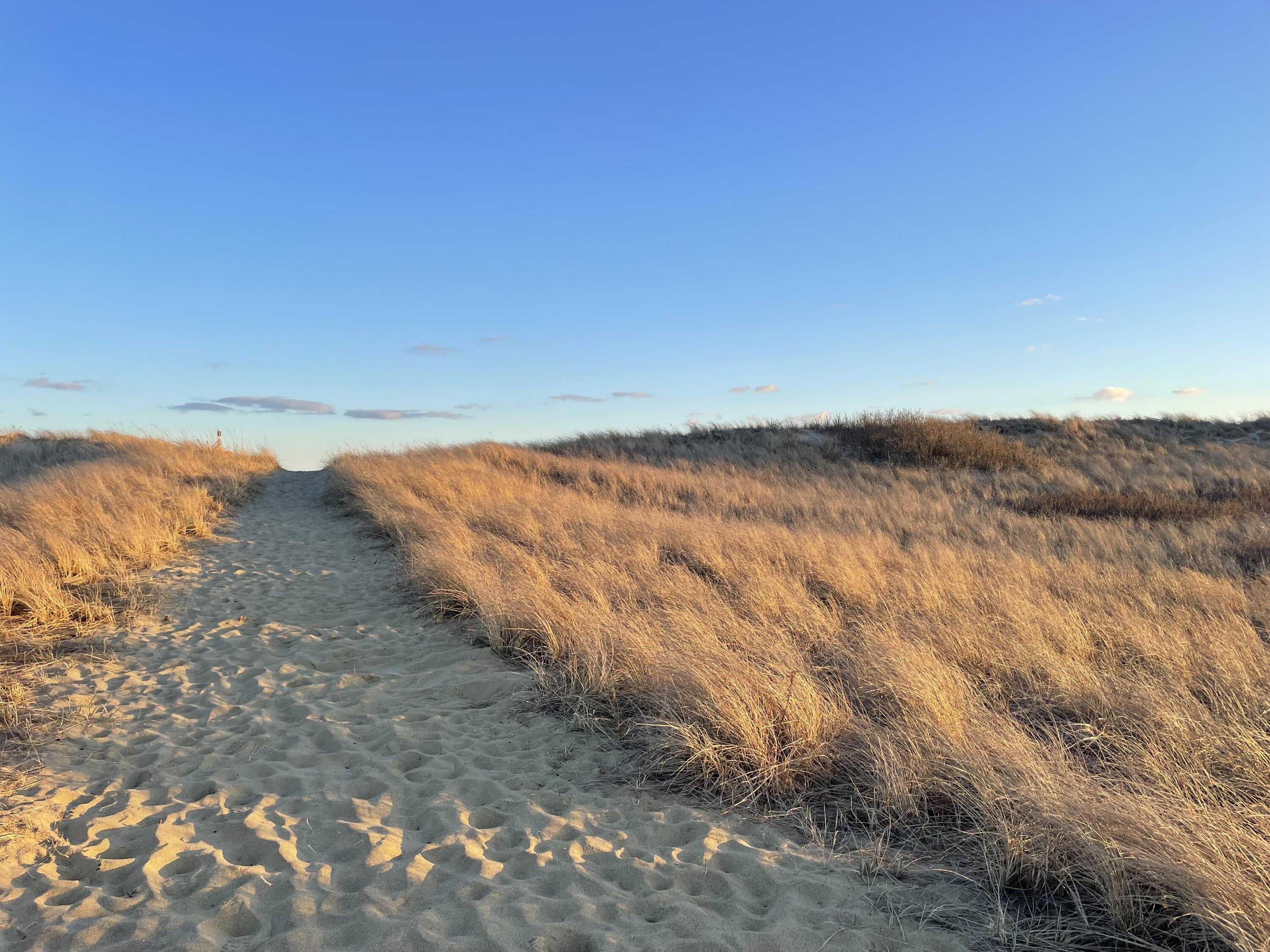 0 Beach Chilmark Ma Chilmark, MA 02535 - Photo 10 of 21 a view of ocean view with beach