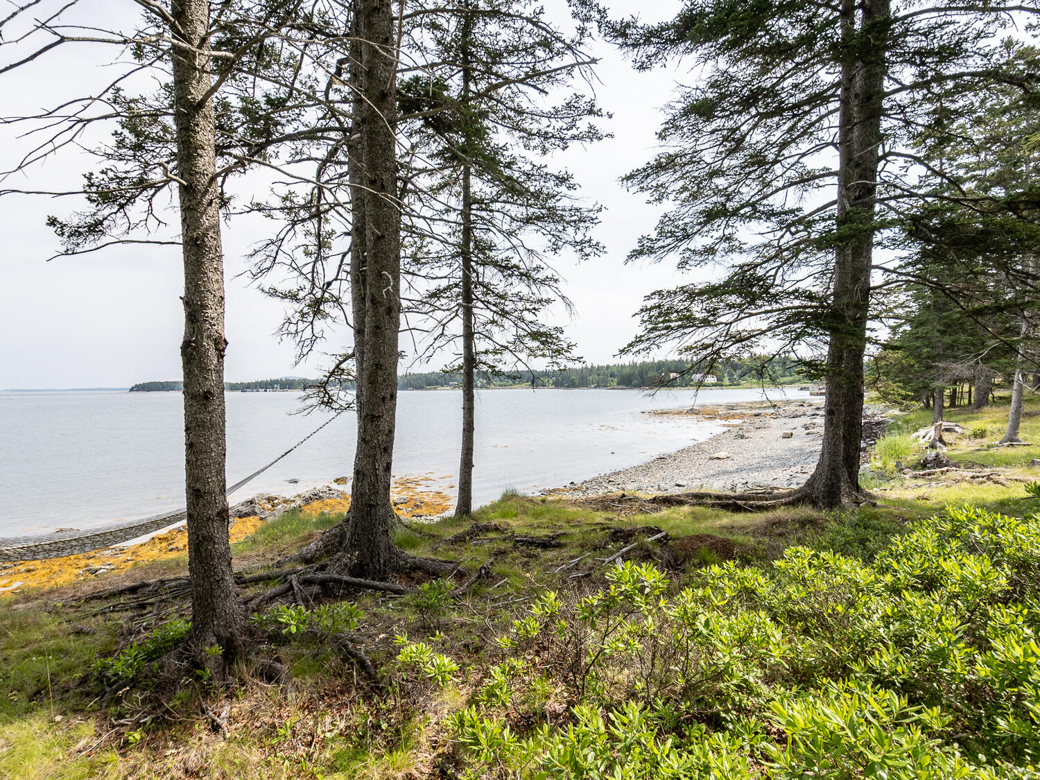 43 Steamboat Road Swans Island, ME 04685 - Photo 1 of 43 Waterfront Home