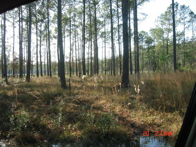 Lot 20 Lot Road Aurora, NC 27806 - Photo 5 of 14 Additional Photo