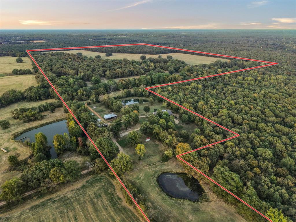 312 County Road 2100 Detroit, TX 75436 - Photo 25 of 39 a view of a yard