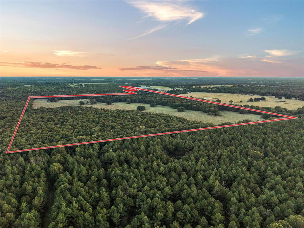 312 County Road 2100 Detroit, TX 75436 - Photo 26 of 39 a view of a city skyline