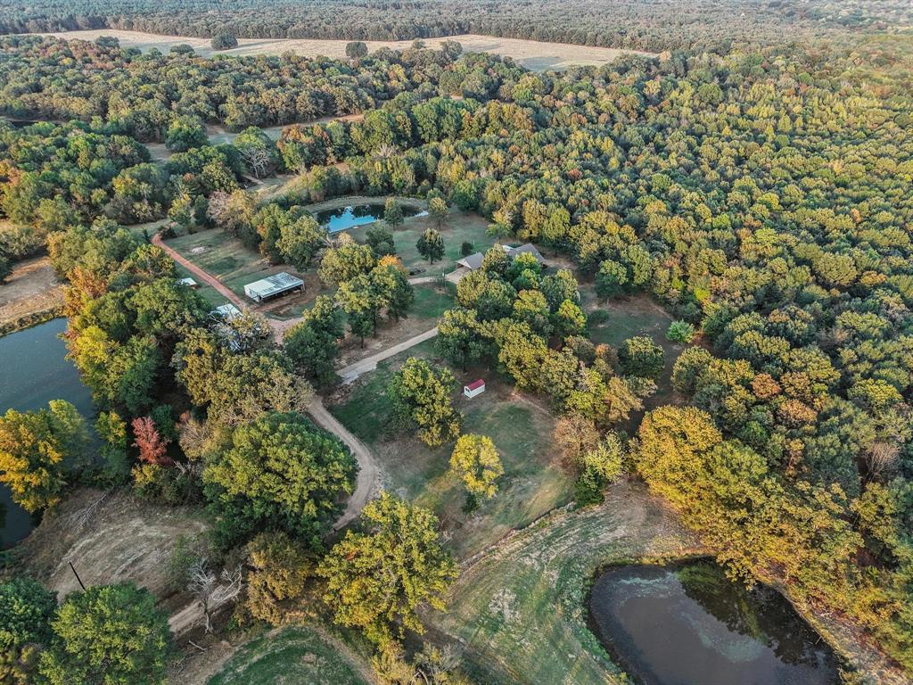 312 County Road 2100 Detroit, TX 75436 - Photo 29 of 39 a view of a garden