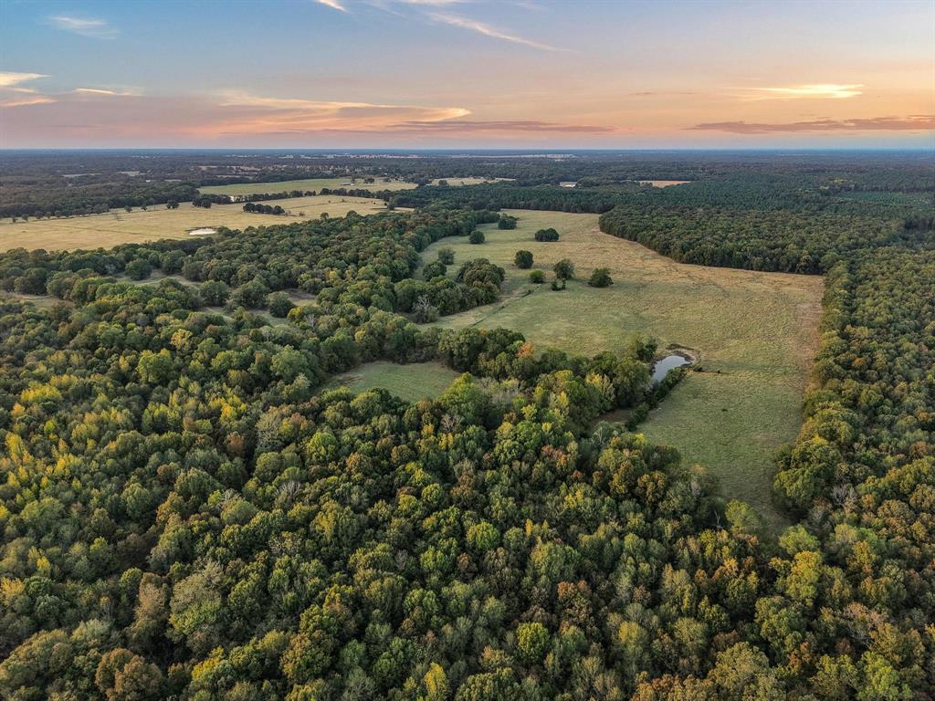 312 County Road 2100 Detroit, TX 75436 - Photo 30 of 39 a view of a city with mountains in the background