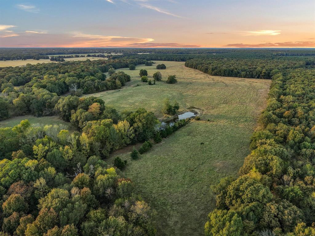 312 County Road 2100 Detroit, TX 75436 - Photo 31 of 39 an aerial view of mountain with trees
