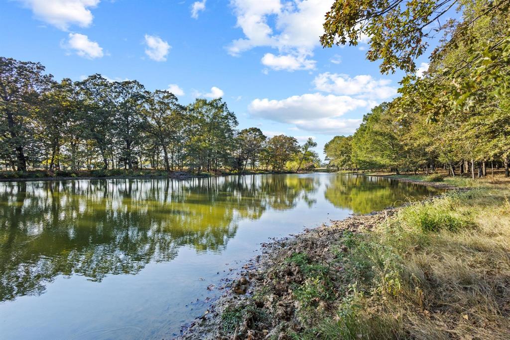 312 County Road 2100 Detroit, TX 75436 - Photo 36 of 39 a view of a lake in between two and trees