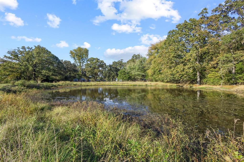 312 County Road 2100 Detroit, TX 75436 - Photo 37 of 39 a view of lake with green space