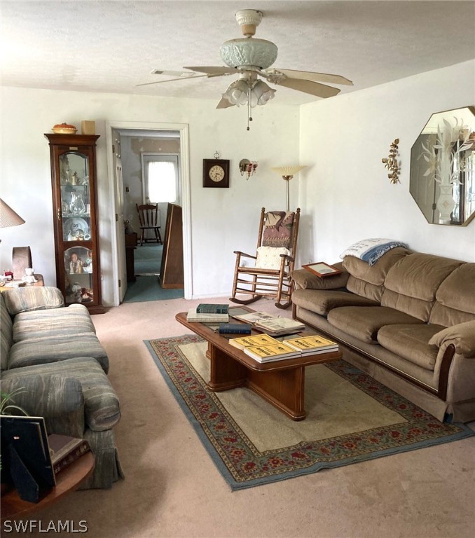 255 Wilson Road LaBelle, FL 33935 - Photo 11 of 27 Gallery Image 11