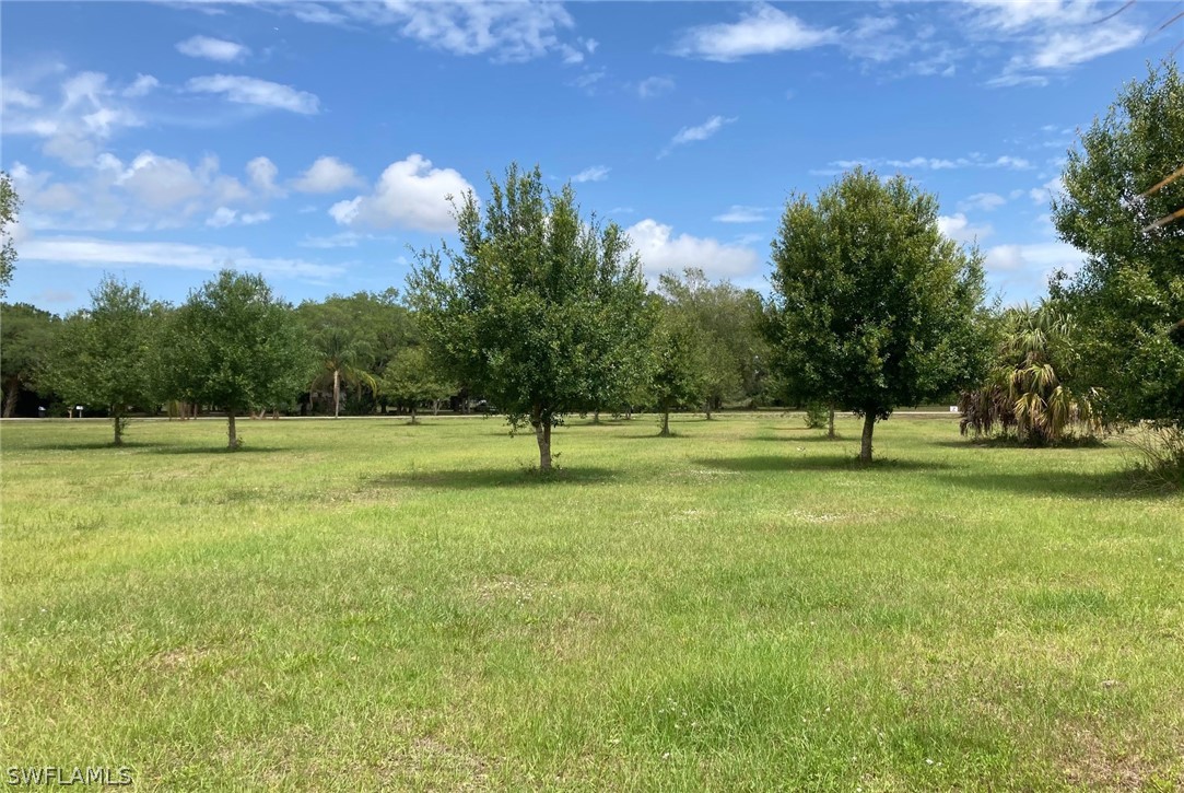 255 Wilson Road LaBelle, FL 33935 - Photo 8 of 27 Gallery Image 8