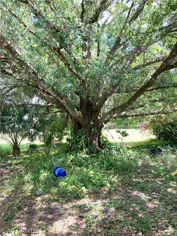 255 Wilson Road LaBelle, FL 33935 - Photo 10 of 27 Gallery Image 10