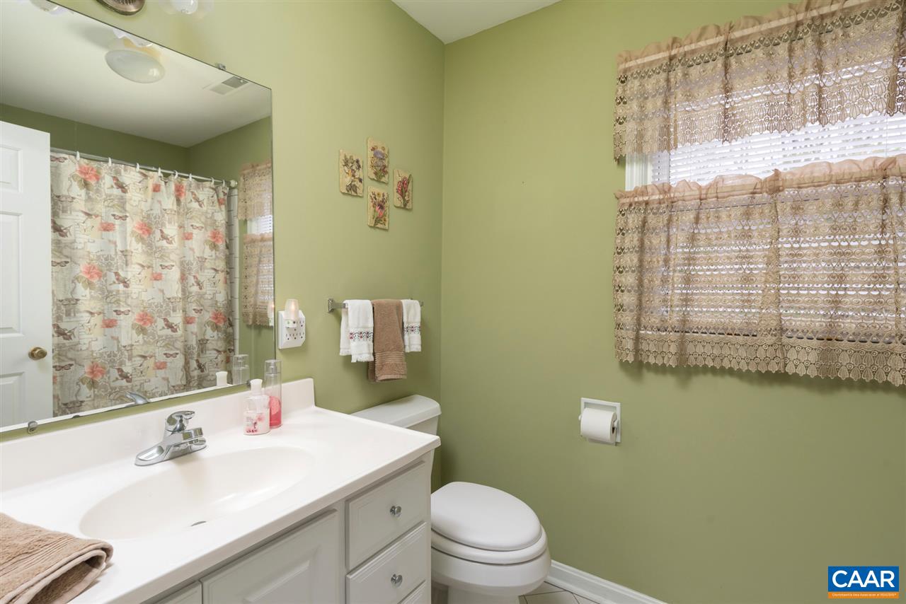 706 Zion Road Zion Crossroads, VA 22942 - Photo 23 of 38 a bathroom with a sink a toilet and shower curtain