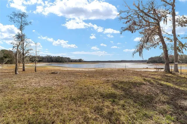 a view of road with view of trees