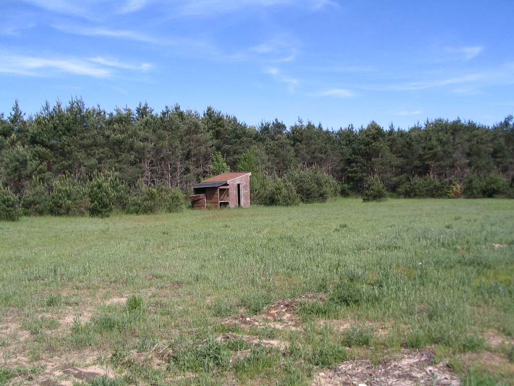 11146 Johnson Road Brethren, MI 49619 - Photo 48 of 60 1800705-47.JPG