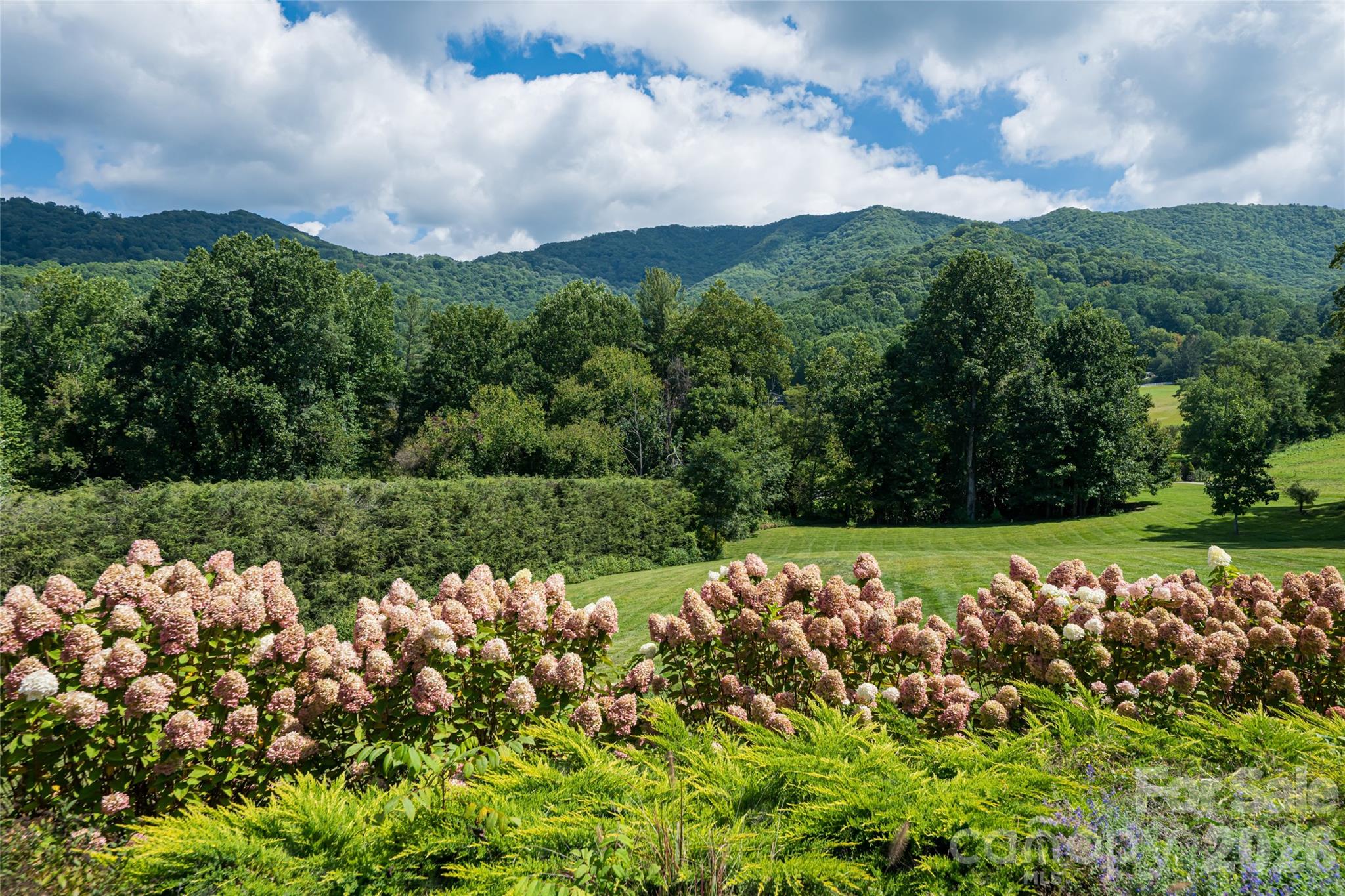 208 Parrish Farm Road Waynesville, NC 28786 - Photo 43 of 48