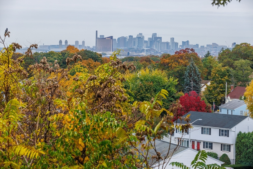 11 Emile Circle, Unit 2 Malden, MA 02148 - Photo 20 of 20