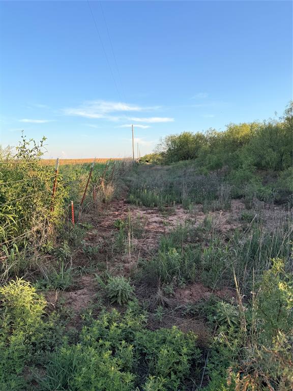 Tbd Nowell Road Quanah, TX 79252 - Photo 1 of 24