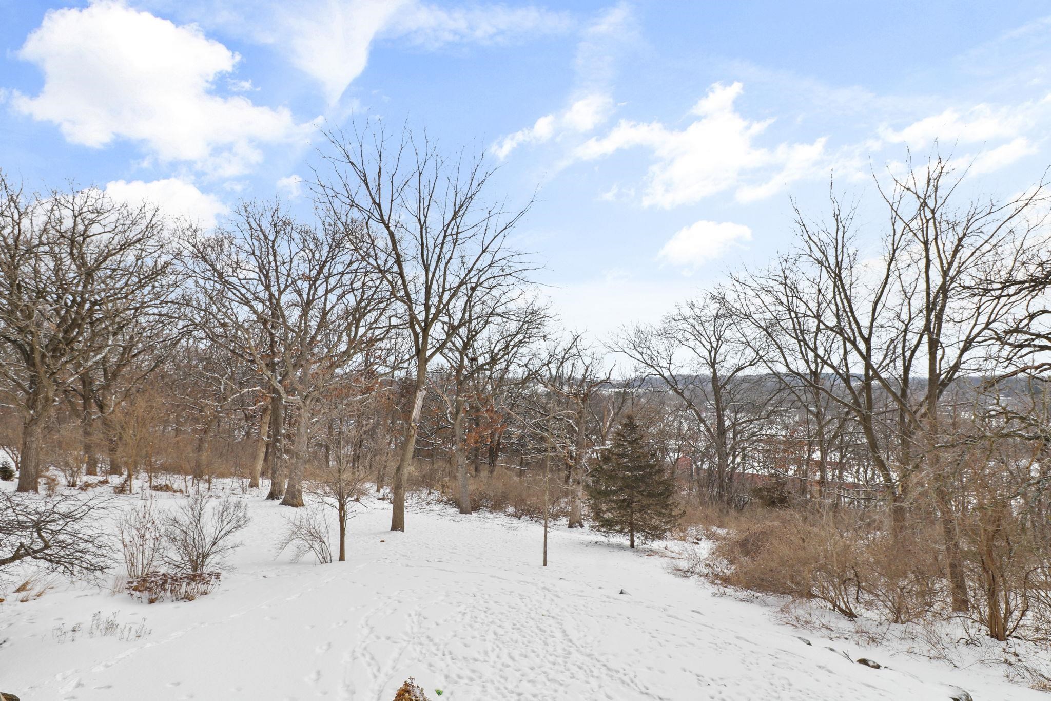 4013 Cosgrove Drive Madison, WI 53719 - Photo 26 of 35