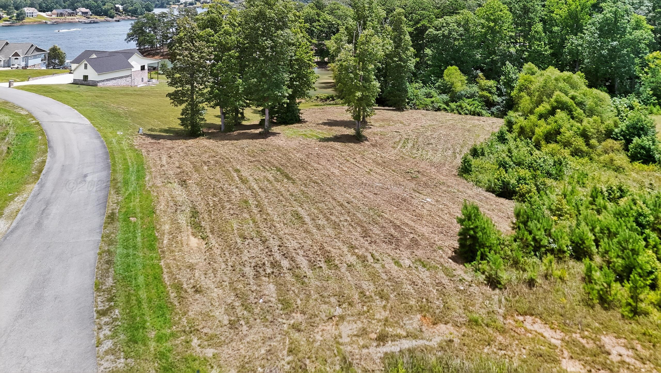 5 Noah's Road Jasper, AL 35503 - Photo 7 of 10 Lot View