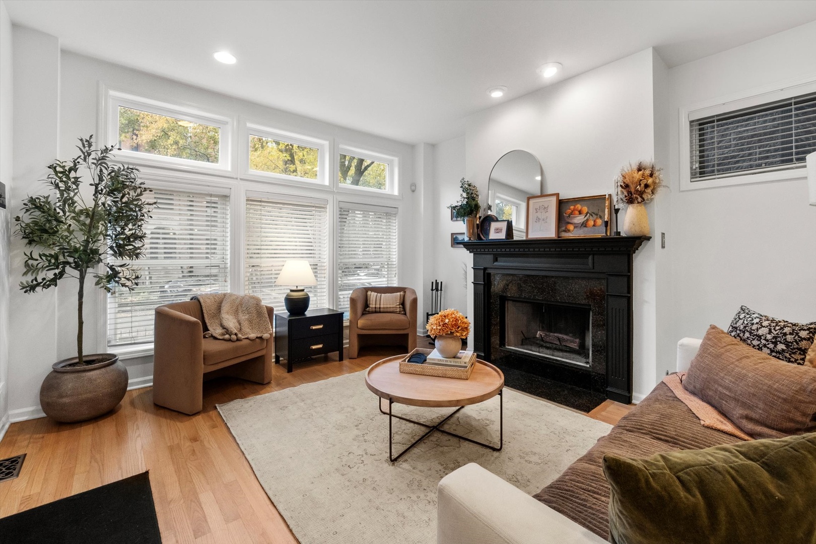 3531 North Reta Avenue, Unit 1 Chicago, IL 60657 - Photo 7 of 63 a living room with furniture a fireplace and a potted plant