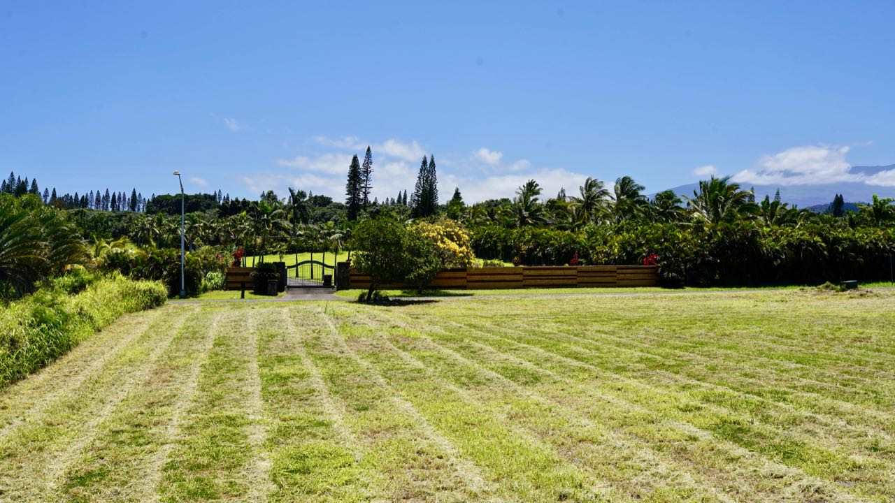 52 Piialii Street Haiku, HI 96708 - Photo 14 of 29 a view of a garden with a building in the background