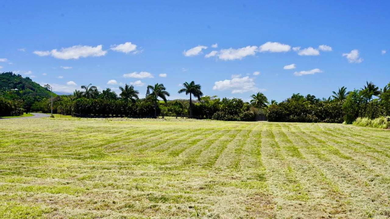 52 Piialii Street Haiku, HI 96708 - Photo 15 of 29 a view of outdoor space and yard