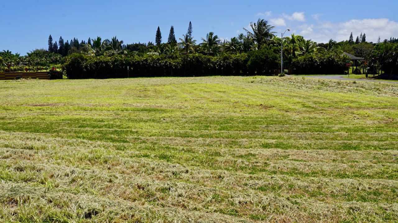 52 Piialii Street Haiku, HI 96708 - Photo 17 of 29