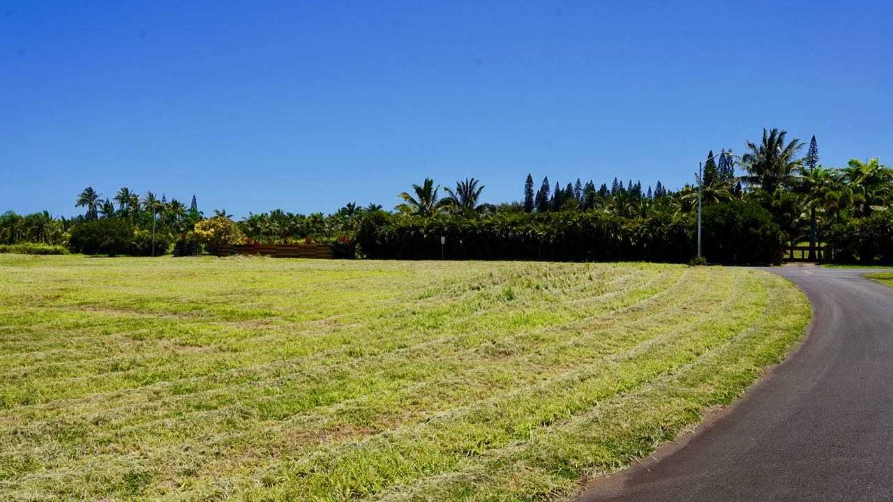 52 Piialii Street Haiku, HI 96708 - Photo 18 of 29 a view of a swimming pool and a yard