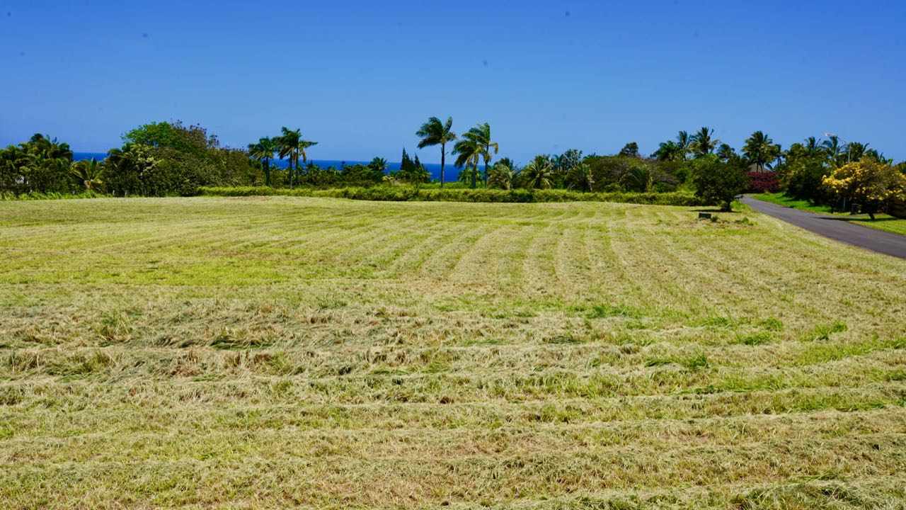 52 Piialii Street Haiku, HI 96708 - Photo 20 of 29 a view of a field with a building in the background