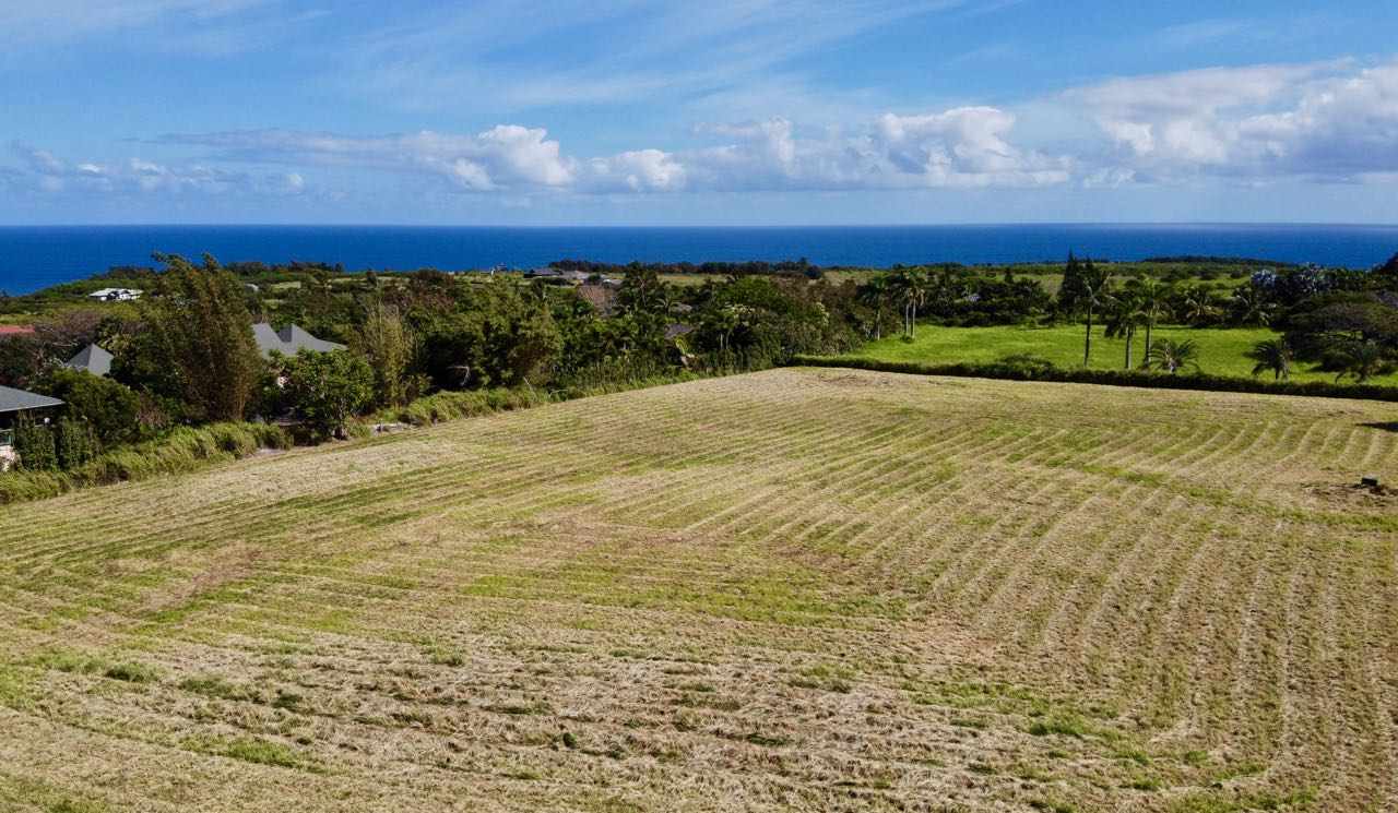 52 Piialii Street Haiku, HI 96708 - Photo 2 of 29 a view of an outdoor space and a yard