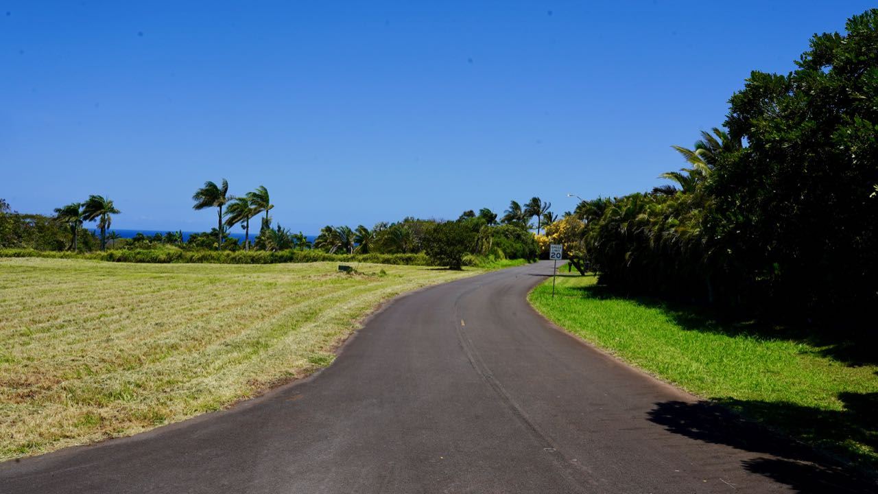 52 Piialii Street Haiku, HI 96708 - Photo 21 of 29 a view of a road with a yard
