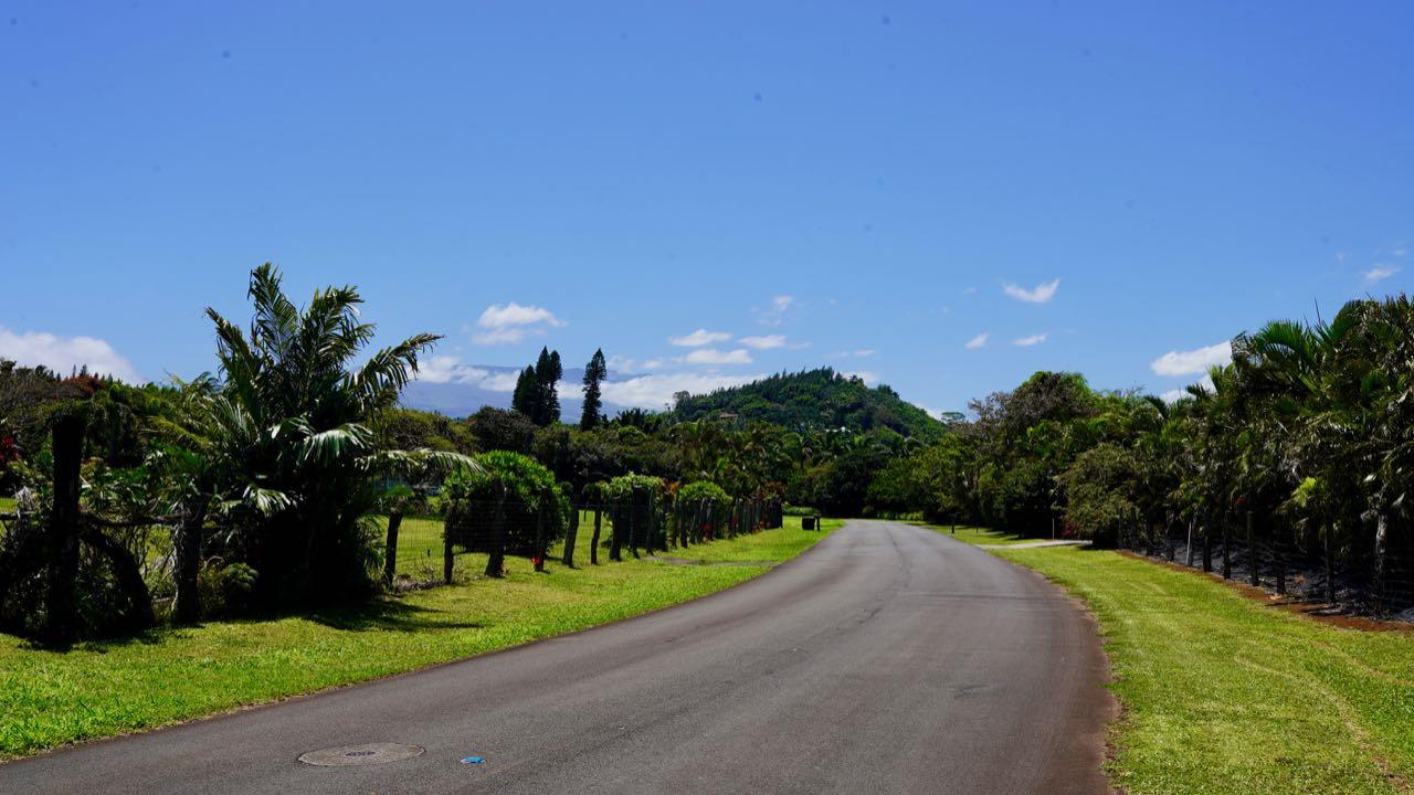 52 Piialii Street Haiku, HI 96708 - Photo 22 of 29 a view of a garden with a building in the background