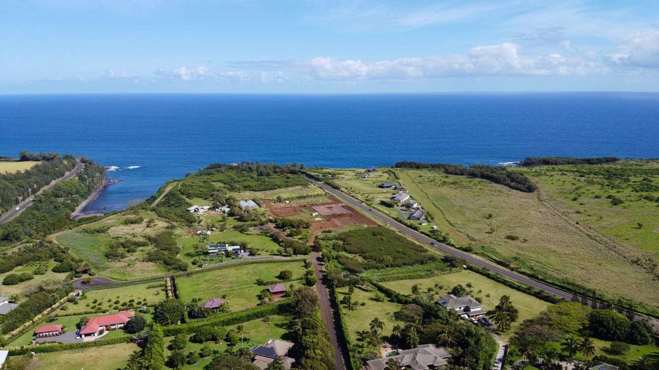 52 Piialii Street Haiku, HI 96708 - Photo 28 of 29 a view of a yard with an ocean