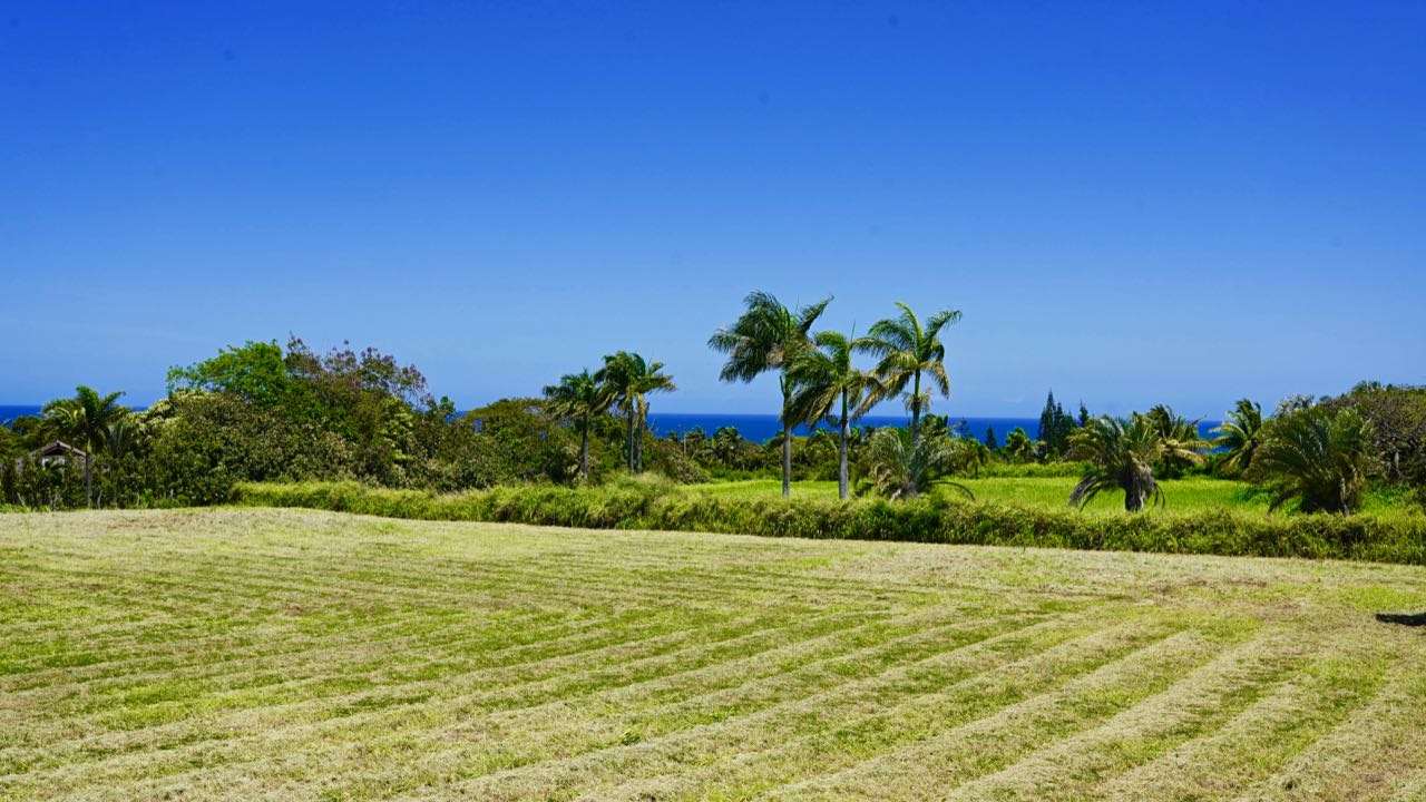 52 Piialii Street Haiku, HI 96708 - Photo 9 of 29 a view of a garden