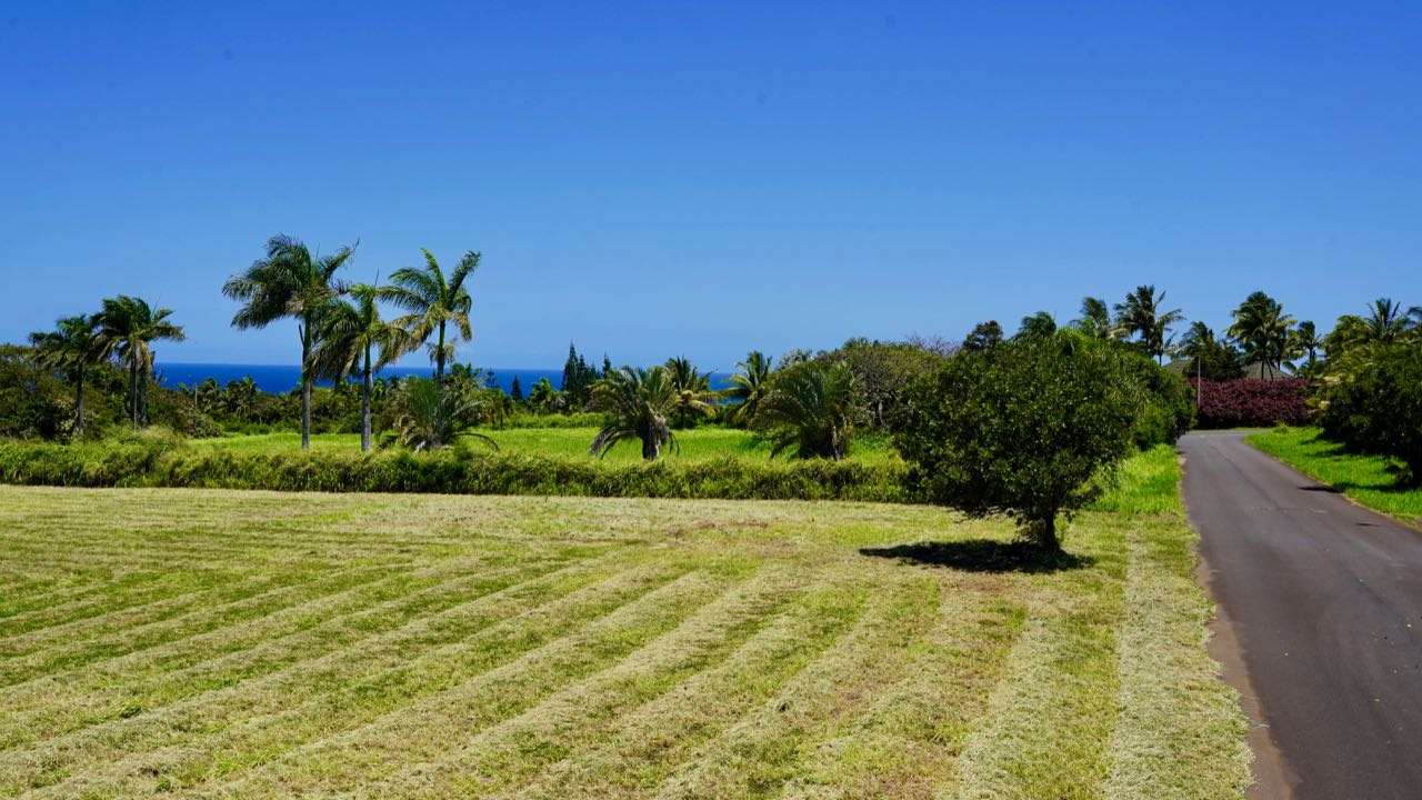 52 Piialii Street Haiku, HI 96708 - Photo 10 of 29 a view of a garden with a building in the background