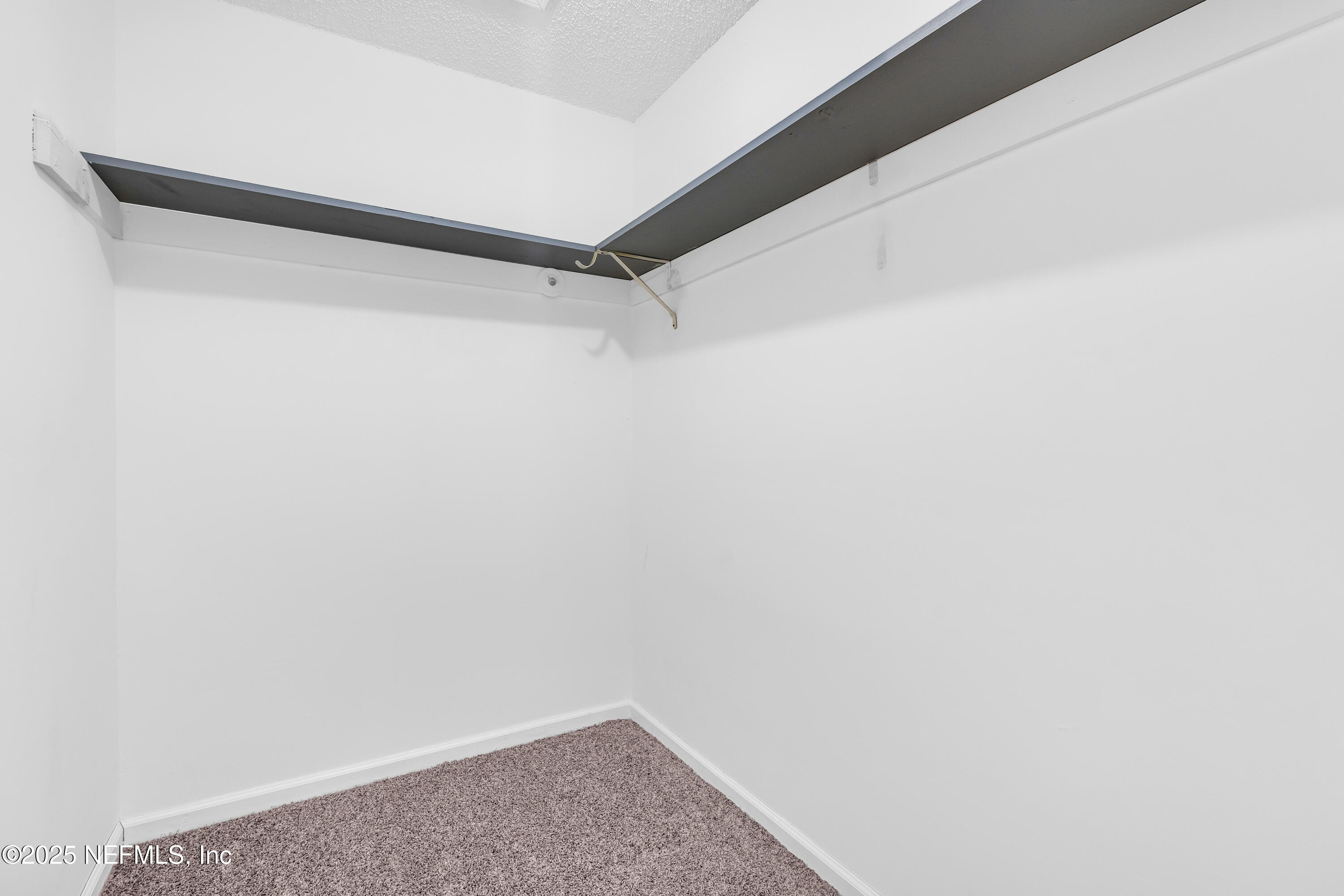 3950 Star Tree Road Jacksonville, FL 32210 - Photo 15 of 33 Master bath closet