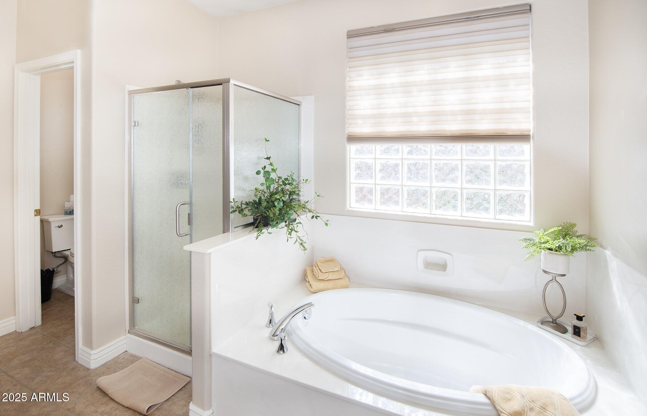 6975 Lynx Wagon Road Prescott Valley, AZ 86314 - Photo 16 of 42 Master Bathroom
