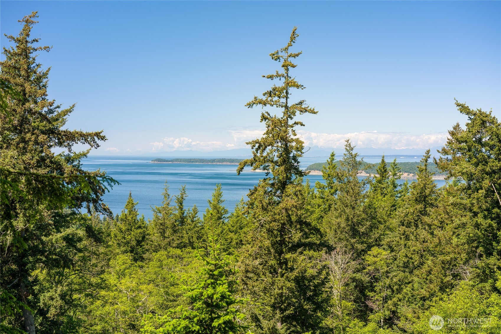 540 Wright Road Orcas Island, WA 98245 - Photo 7 of 40