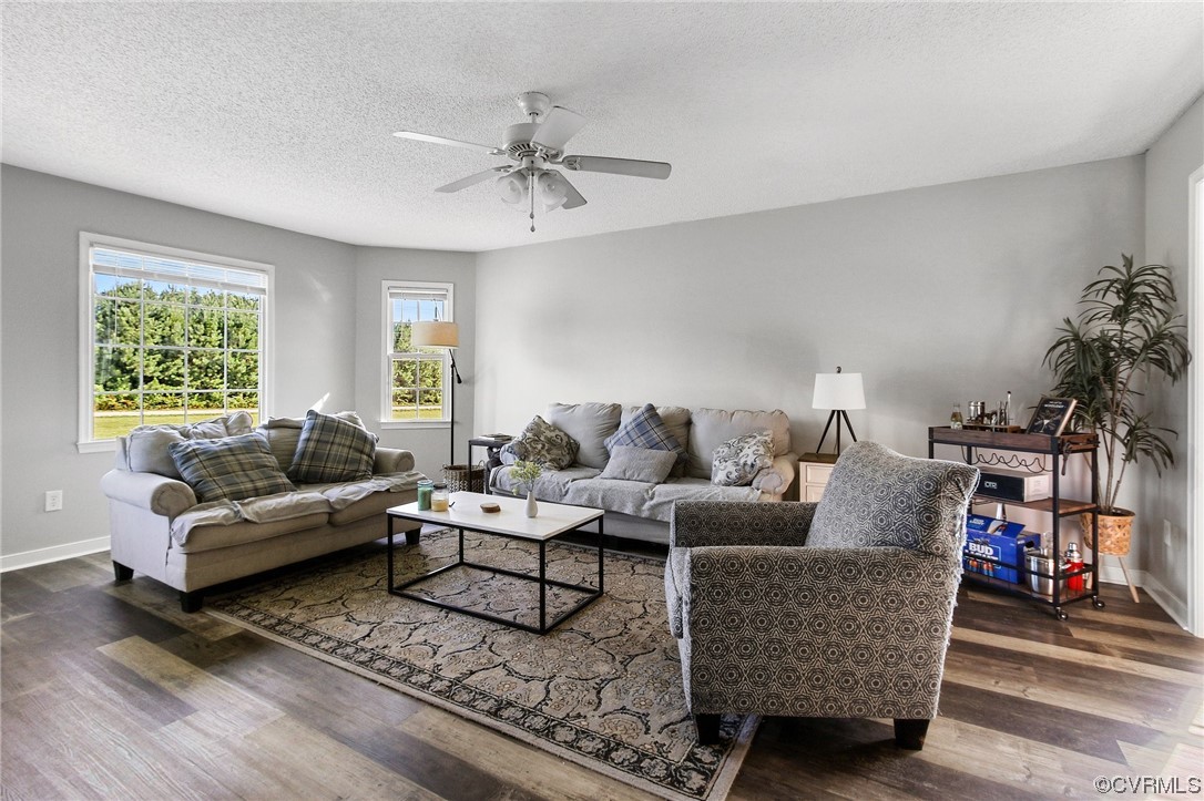 8376 Pine Acres Lane Carson, VA 23830 - Photo 5 of 21 a living room with furniture and a potted plant