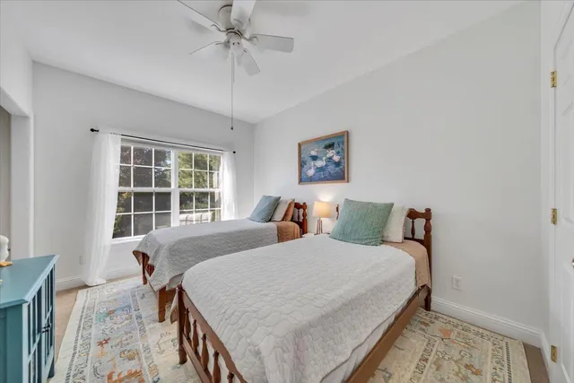 a view of a park with large trees