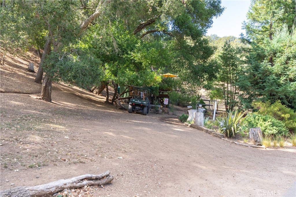 11625 Cenegal Road Atascadero, CA 93422 - Photo 52 of 65 The mature trees create a feeling of privacy.