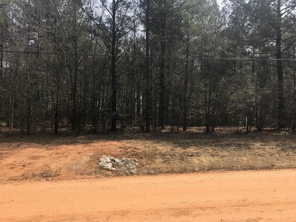Lot 35 Stapleton Acres Court Stapleton, GA 30823 - Photo 1 of 4 Main View