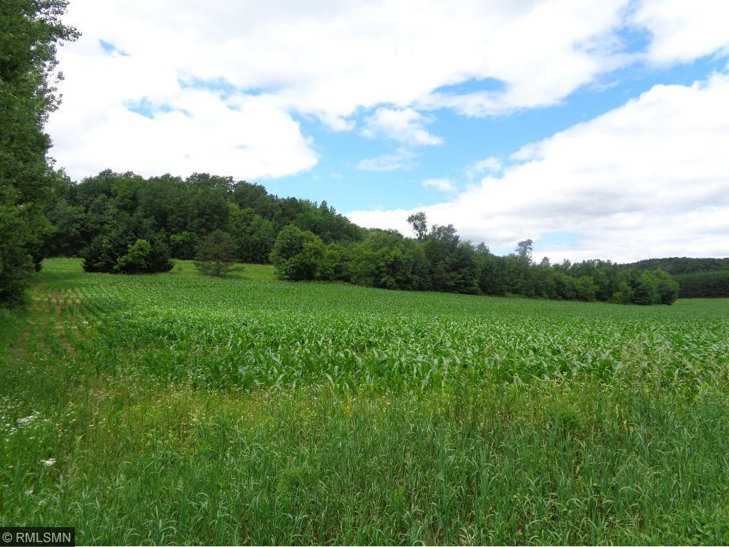 N12123 Olson Road Hixton, WI 54635 - Photo 1 of 1