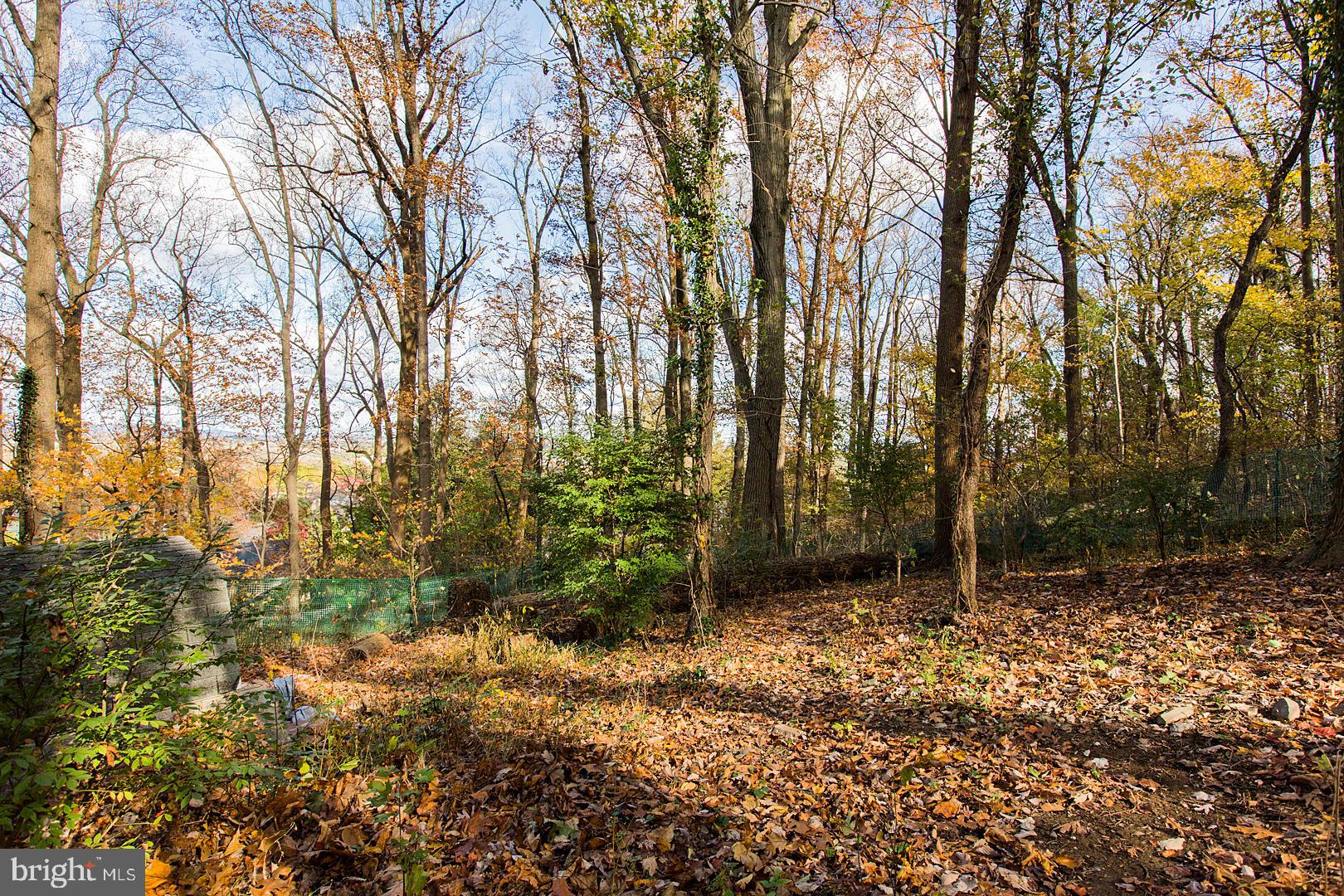1205 Mill Mar Road Lancaster, PA 17601 - Photo 81 of 91 Gallery Image 81