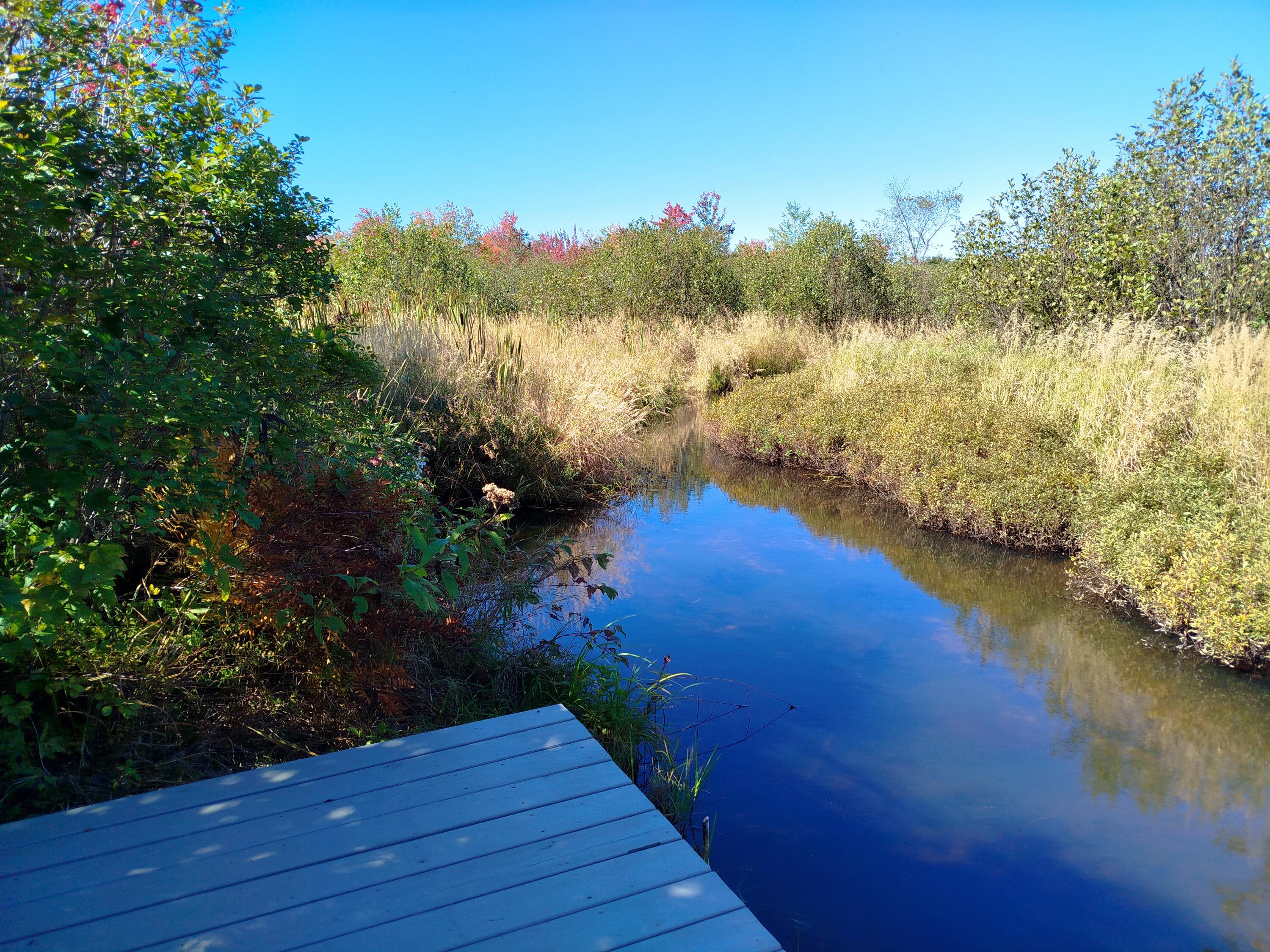 717 Crystal Road Crystal, ME 04747 - Photo 61 of 100