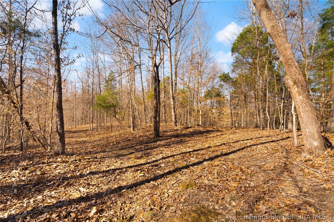 In-62 & Riddle Road English, IN 47137 - Photo 29 of 64