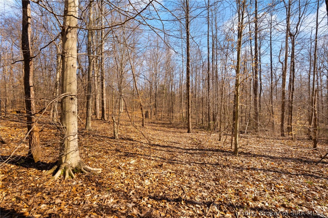 In-62 & Riddle Road English, IN 47137 - Photo 33 of 64