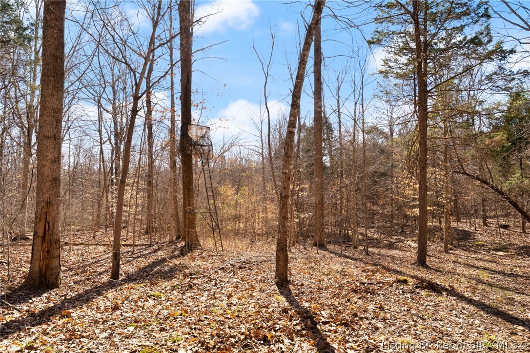 In-62 & Riddle Road English, IN 47137 - Photo 34 of 64