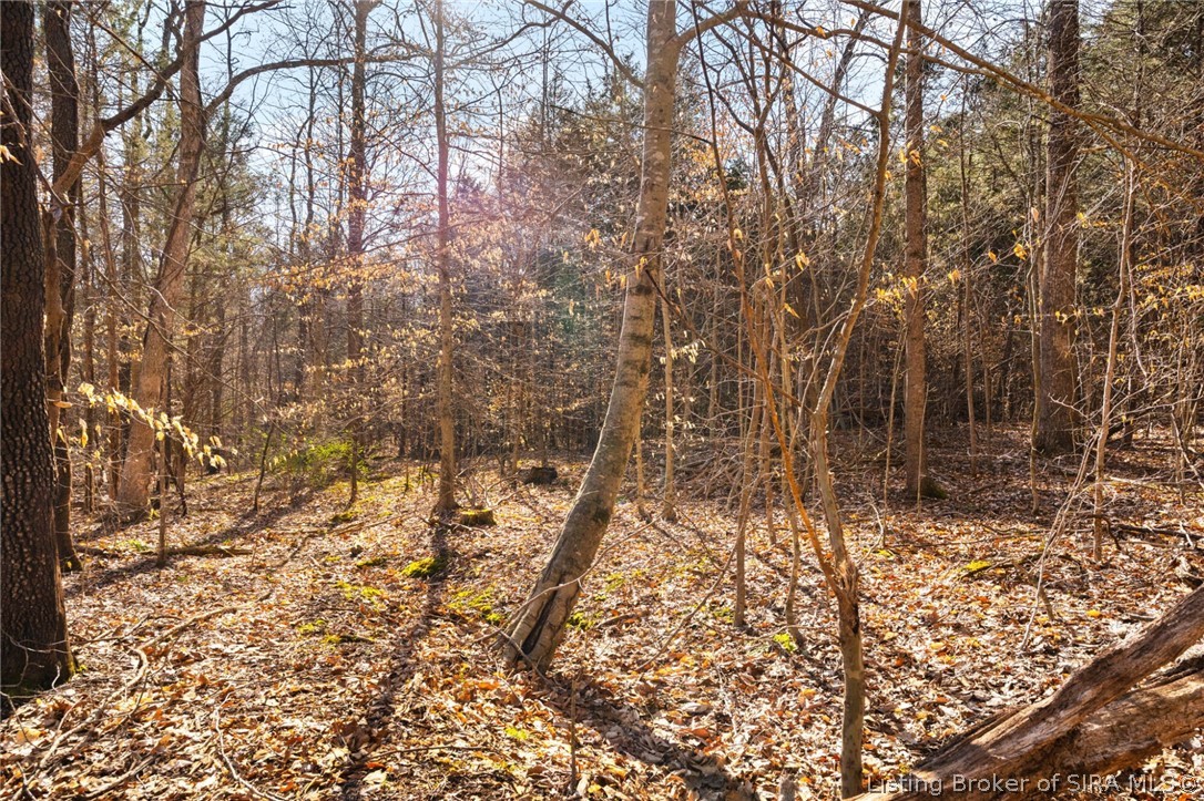 In-62 & Riddle Road English, IN 47137 - Photo 35 of 64